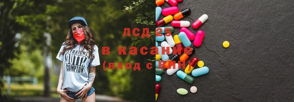 PSILOCYBIN Липки