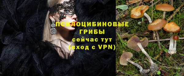 PSILOCYBIN Липки