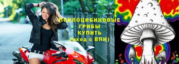 PSILOCYBIN Липки