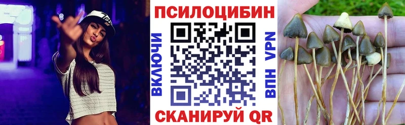 Купить где  Амурск  Галлюциногенные грибы Cubensis 