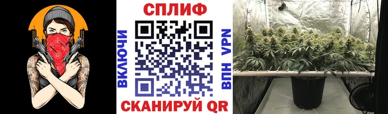 Купить  Амурск  Марихуана план 